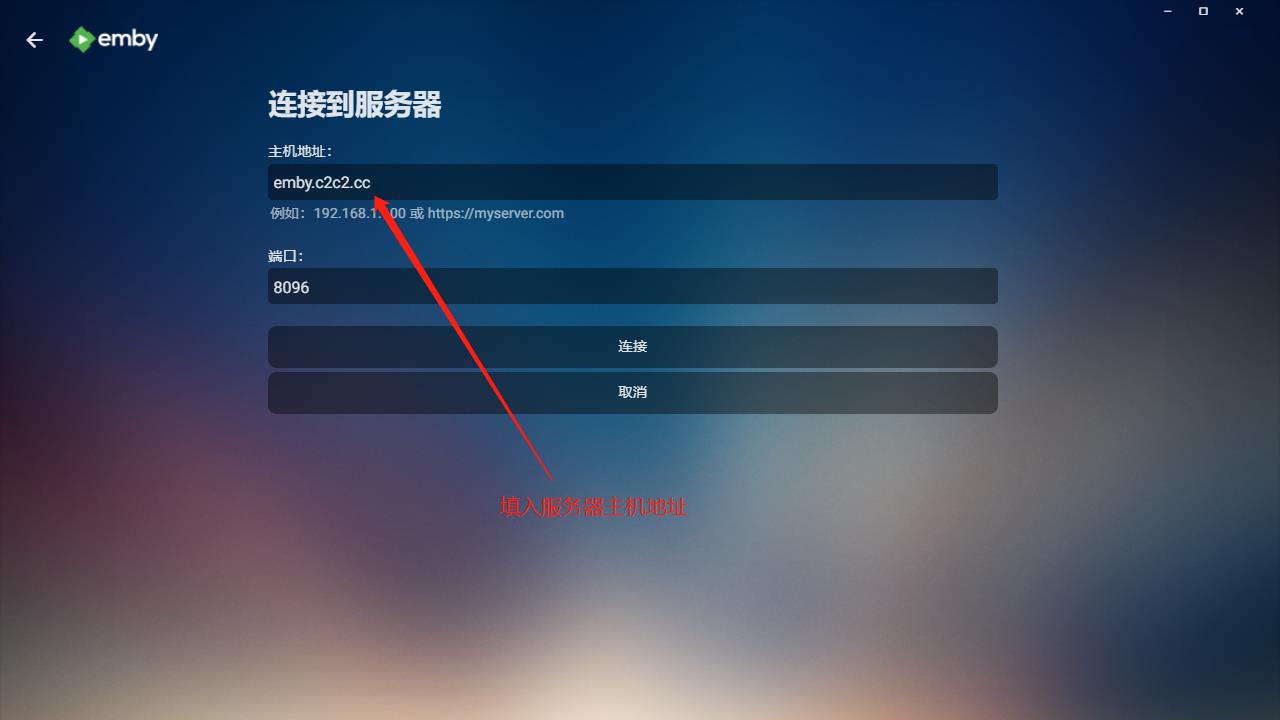 输入服务器地址